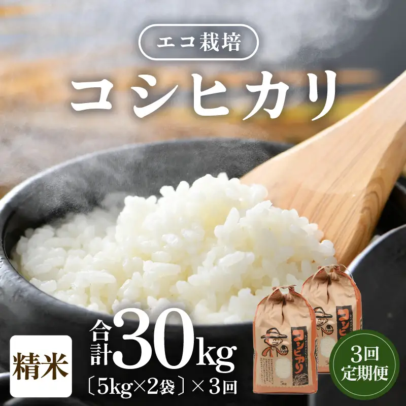 【先行予約】【令和8年産 新米】《定期便3回》【一等米】エコ栽培コシヒカリ 白米10kg（5kg×2袋）計30kg ／ 鮮度抜群 福井県産 こしひかり ご飯 新鮮 白米 ※2026年10月上旬以降順次発送 [aw063-e010]