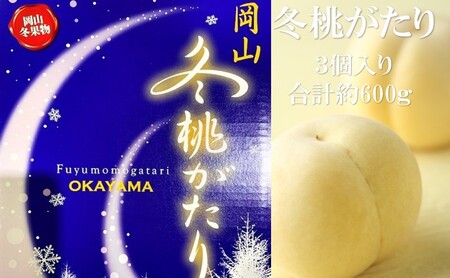 桃 2026年 先行予約  岡山県産 白桃 冬桃がたり 3個入り 約600g  岡山県産 桃