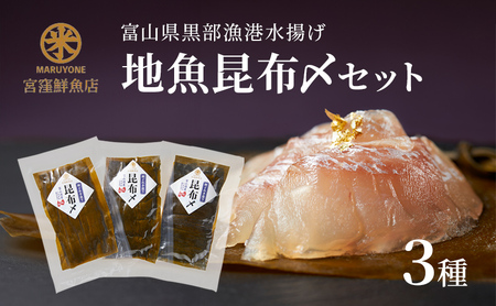 黒部漁港 〈地魚昆布〆3種セット〉 産地直送 旬 魚介 魚 さかな 詰め合わせ 冷凍　/富山県黒部市 