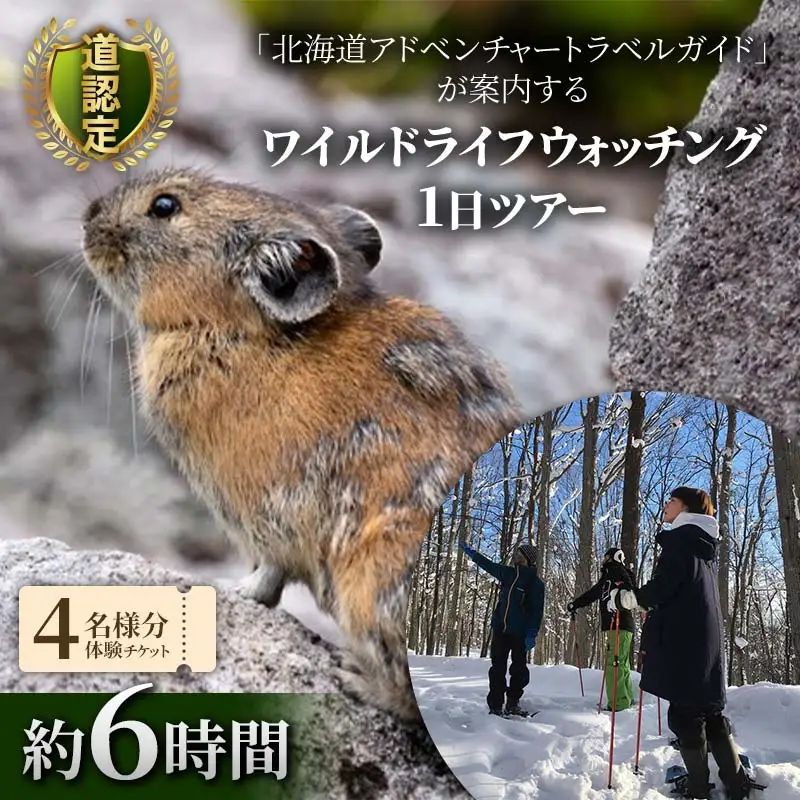 道認定「北海道アドベンチャートラベルガイド」が案内するワイルドライフウォッチング1日ツアー 【4名様分体験チケット】 約6時間 F6S-046