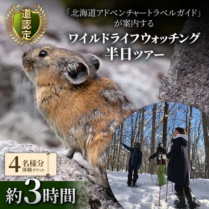 道認定「北海道アドベンチャートラベルガイド」が案内するワイルドライフウォッチング半日ツアー 【4名様分体験チケット】 約3時間 F6S-047