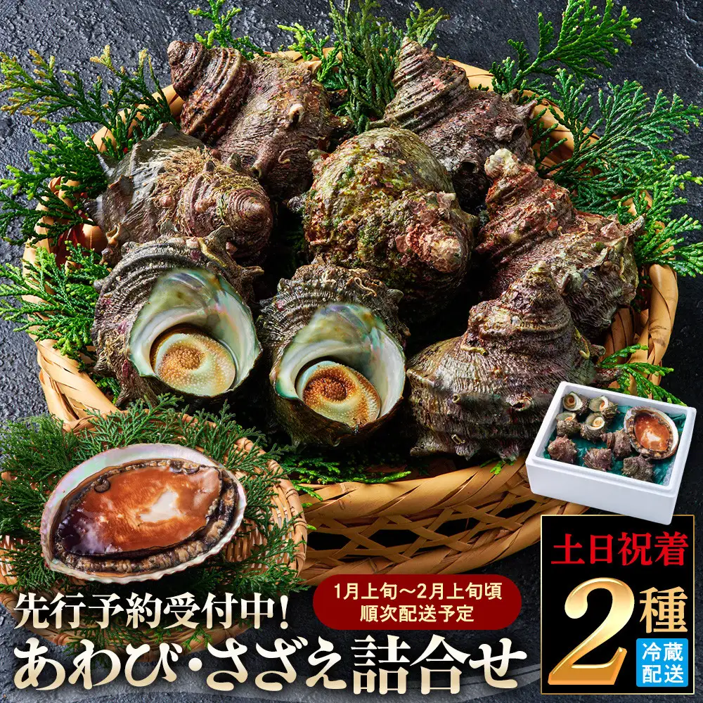 ＜土日祝着＞＜1月上旬～2月上旬頃順次配送＞あわび・さざえ詰合せ(2種) 【鳥取県 境港市】