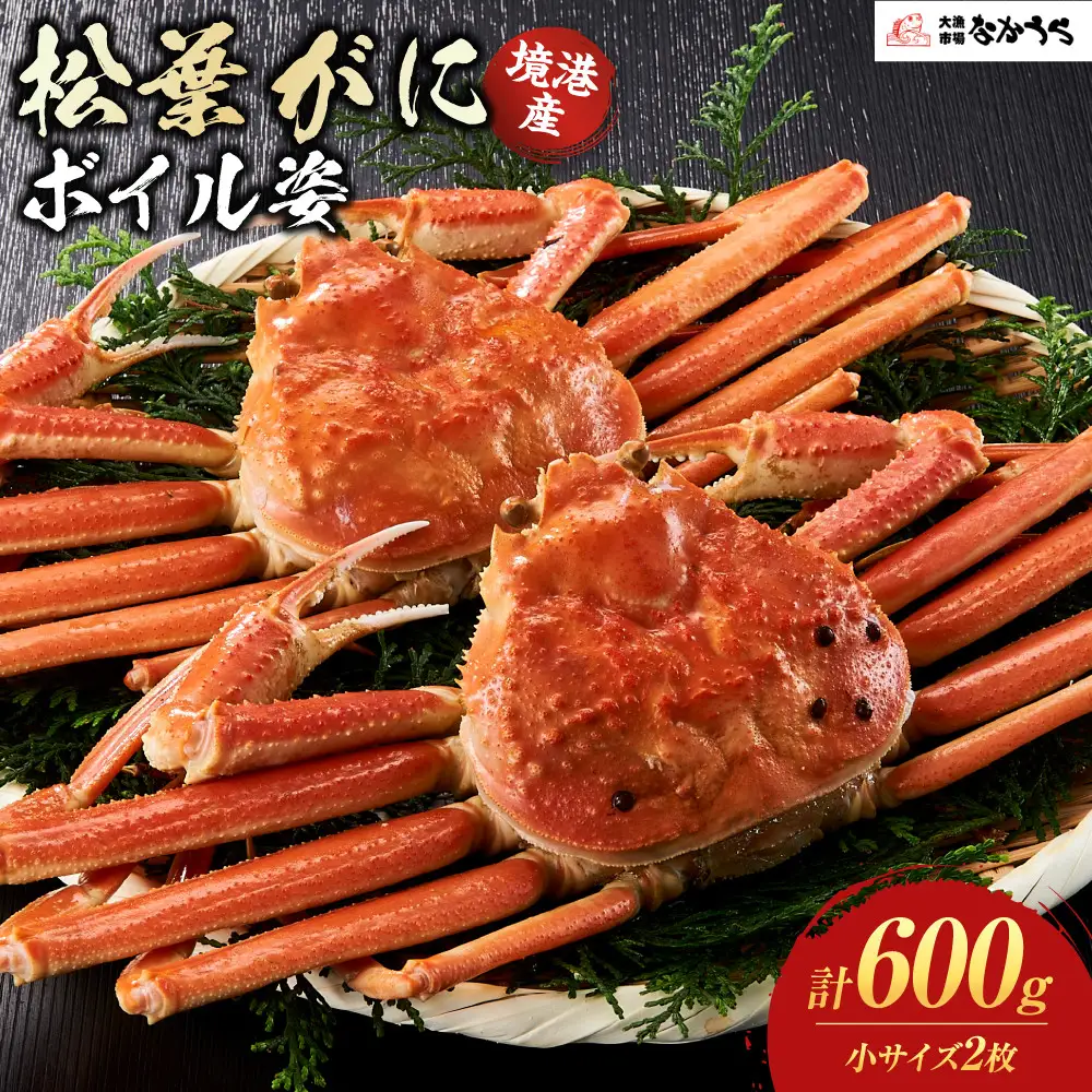 境港産松葉がにボイル姿　計600ｇ（小サイズ2枚） 【鳥取県 境港市】