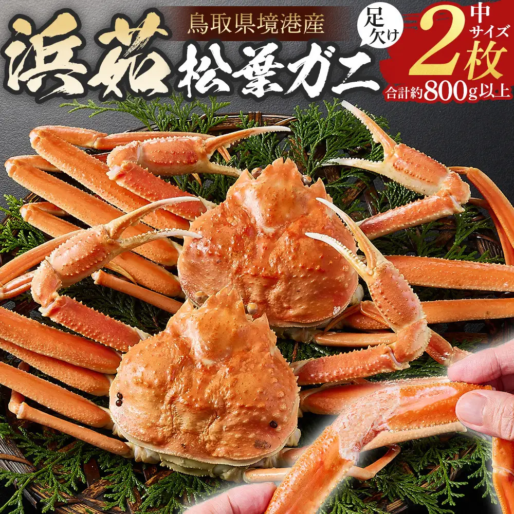 ＜火～木着※指定日不可＞＜11月中旬～3月上旬発送予定＞浜茹松葉ガニ足欠(2枚/計約800g以上)
