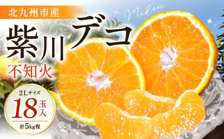 紫川デコ（不知火） 2Lサイズ 18玉入 計5kg【2027年3月下旬～4月上旬発送予定】 KM