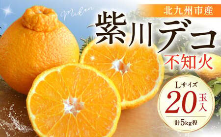 紫川デコ（不知火） Lサイズ 20玉入 計5kg【2027年3月下旬～4月上旬発送予定】 KM