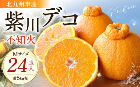 紫川デコ（不知火） Mサイズ 24玉入 計5kg程【2027年3月下旬～4月上旬発送予定】 KM