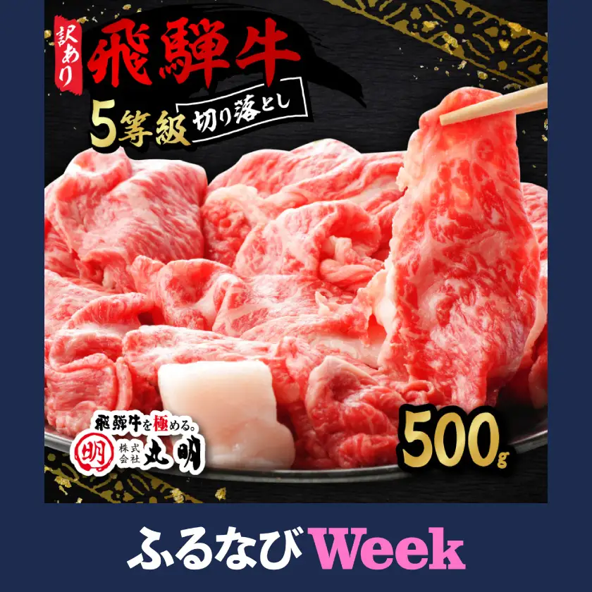 【ふるなびWEEK対象】【訳あり】飛騨牛5等級　切り落とし用途いろいろ　500g【配送不可地域：離島】【1034745】
