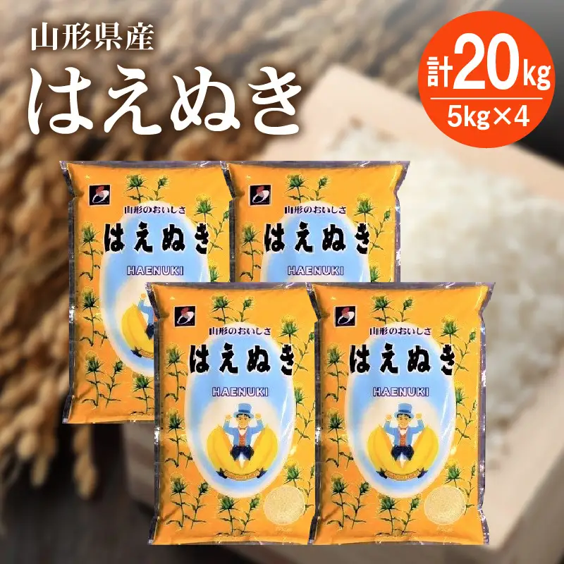 令和７年産 はえぬき２０ｋｇ（５ｋｇ×４袋）　0059-2524