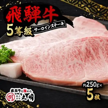 飛騨牛5等級　サーロインステーキ　約250g×5枚【配送不可地域：離島・北海道・沖縄県】【1043511】