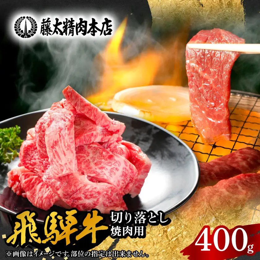 【飛騨牛】切り落し焼肉用 400g 岐阜県産 黒毛和牛【配送不可地域：離島】【1107365】