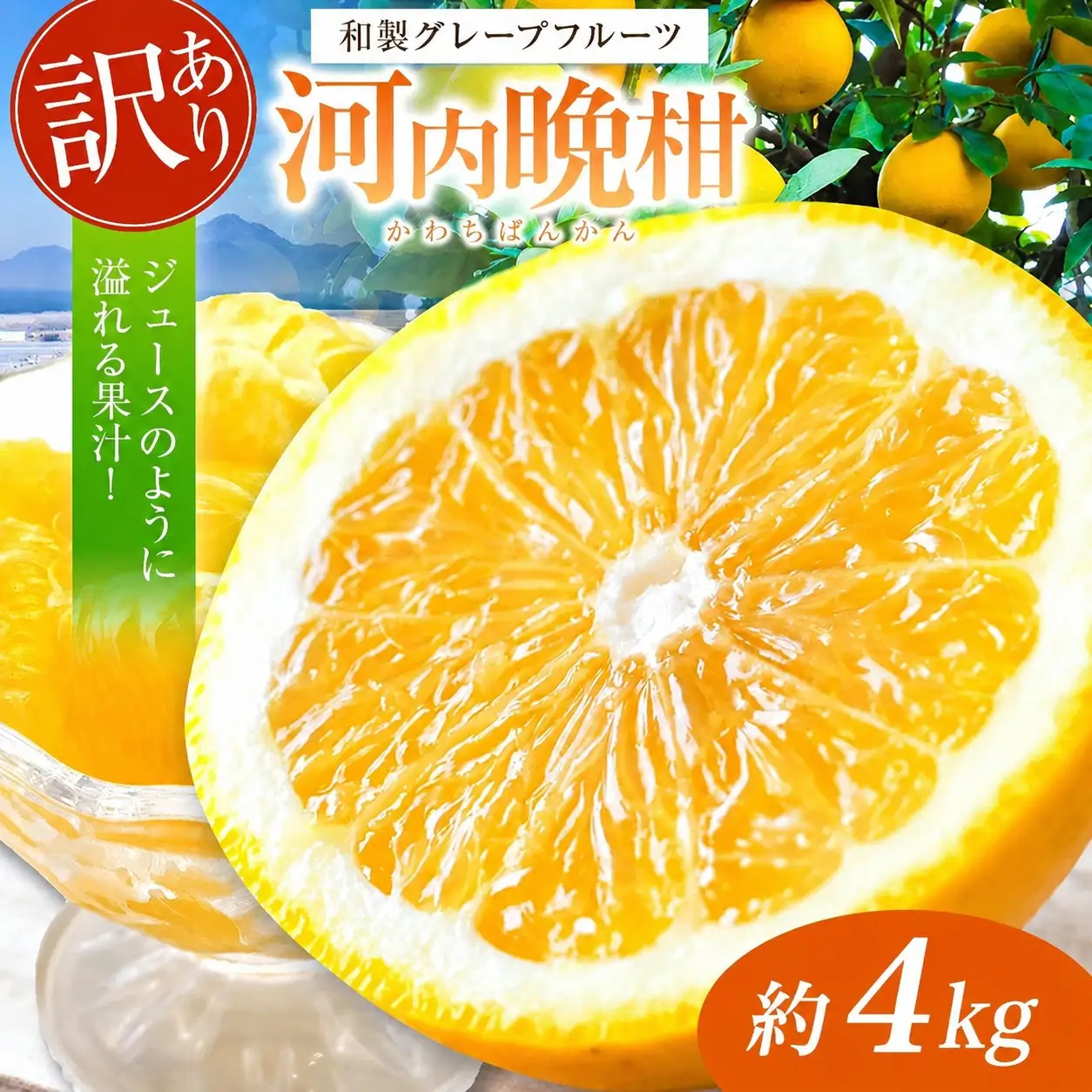 訳あり 河内晩柑 約4kg 後藤農園