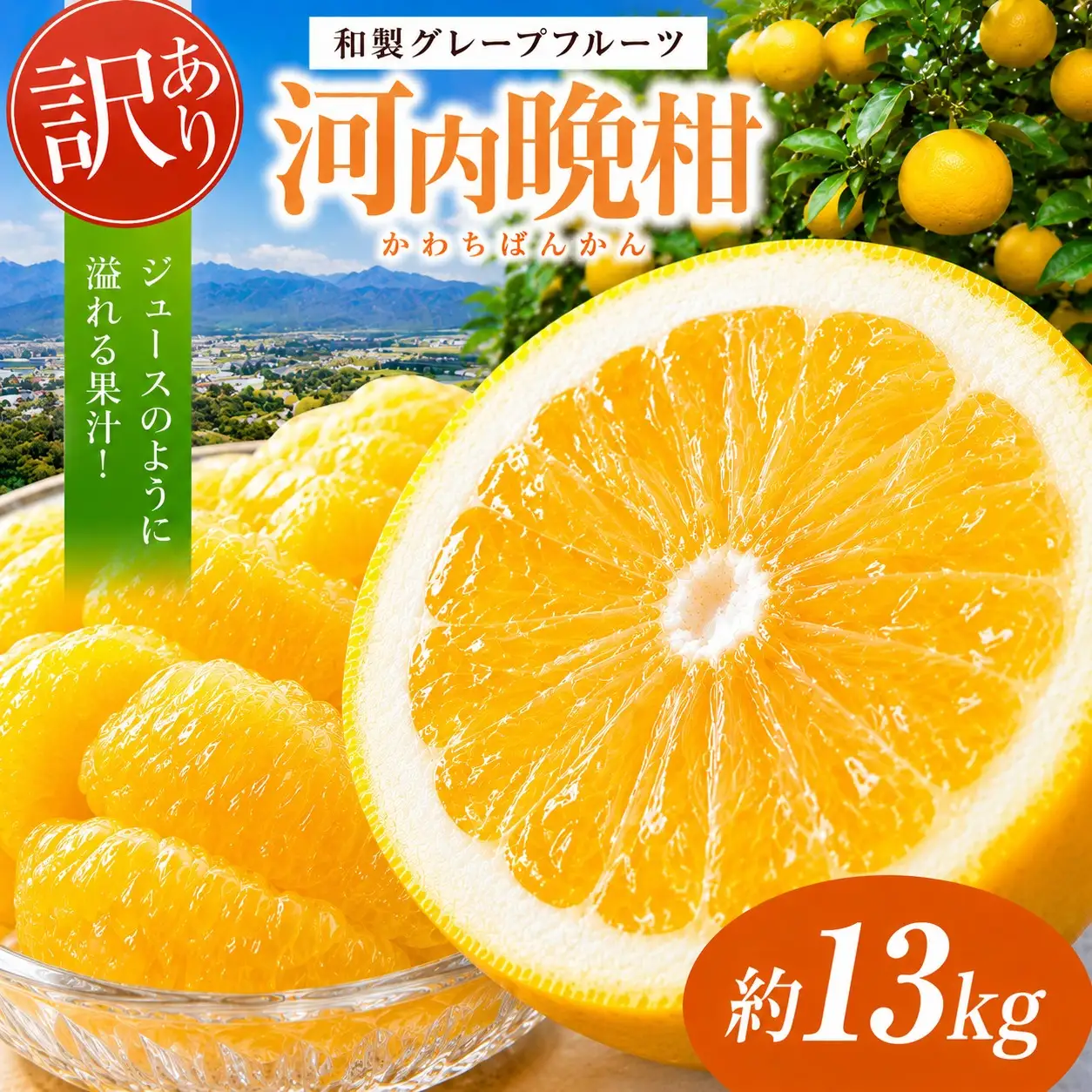 訳あり 河内晩柑 約13kg 後藤農園