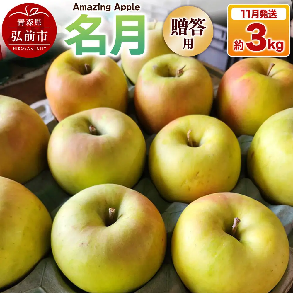 【26年11月下旬発送】りんご 名月【贈答用】約3kg