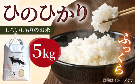 令和年産ひのひかり5kg （白米）/ 白米 [ICD011]