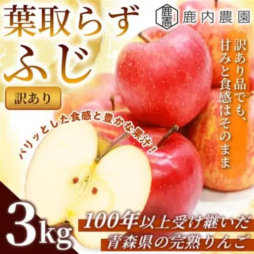 【訳あり】りんご 「葉取らずふじ」 約3kg (約(9～12個入り) 青森市 産地直送_果物・フルーツ りんご  リンゴ 林檎_【配送不可地域：離島】【1496471】