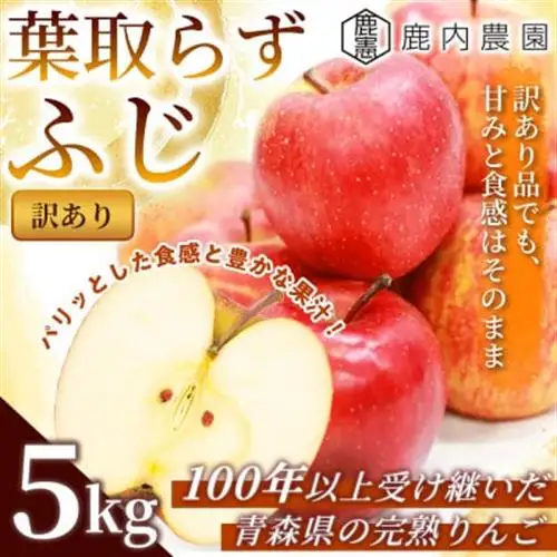 【訳あり】りんご 「葉取らずふじ」 約5kg ((約14～20個入) 青森市 産地直送_果物・フルーツ りんご  リンゴ 林檎_【配送不可地域：離島】【1496472】