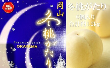 桃 2026年 先行予約  岡山県産 白桃 冬桃がたり 6個入り 約1200g  岡山県産 桃