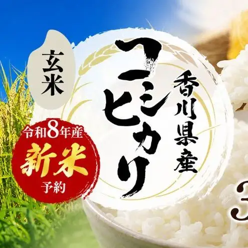 令和8年産　新米「コシヒカリ」30kg（玄米）お米 30kg
