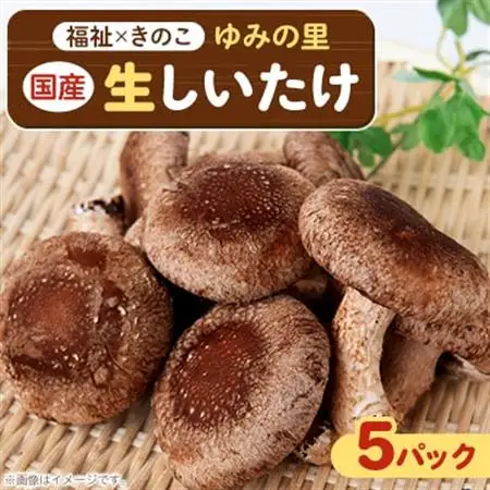 【農福連携】千葉県館山産 生しいたけ110g×5パック 就労継続支援A/B型併用事業所「ゆみの里」【配送不可地域：離島・沖縄県】【1486687】