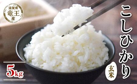 新米 令和7年産 こしひかり 玄米 5kg 2025年産
