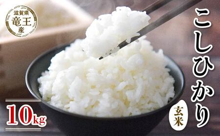 新米 令和7年産 こしひかり 玄米 10kg 2025年産 玄米 米 竜王町 滋賀県 【 玄米 】