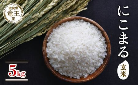 【 先行予約 】 新米 にこまる 玄米 5kg