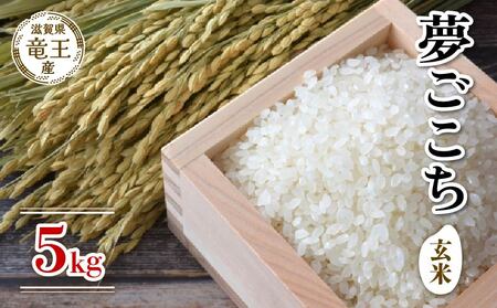  新米 令和7年産 夢ごこち 玄米 5kg 2025年産 新米新米新米新米新米