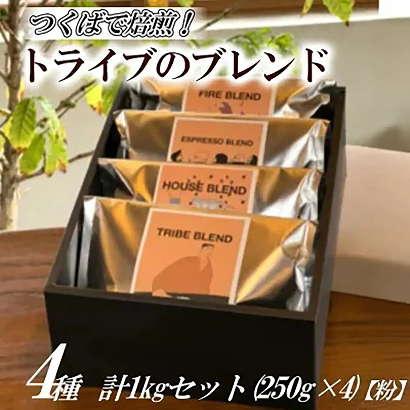 つくばで焙煎 トライブのブレンド4種 計1kgセット(250g×4)[粉]