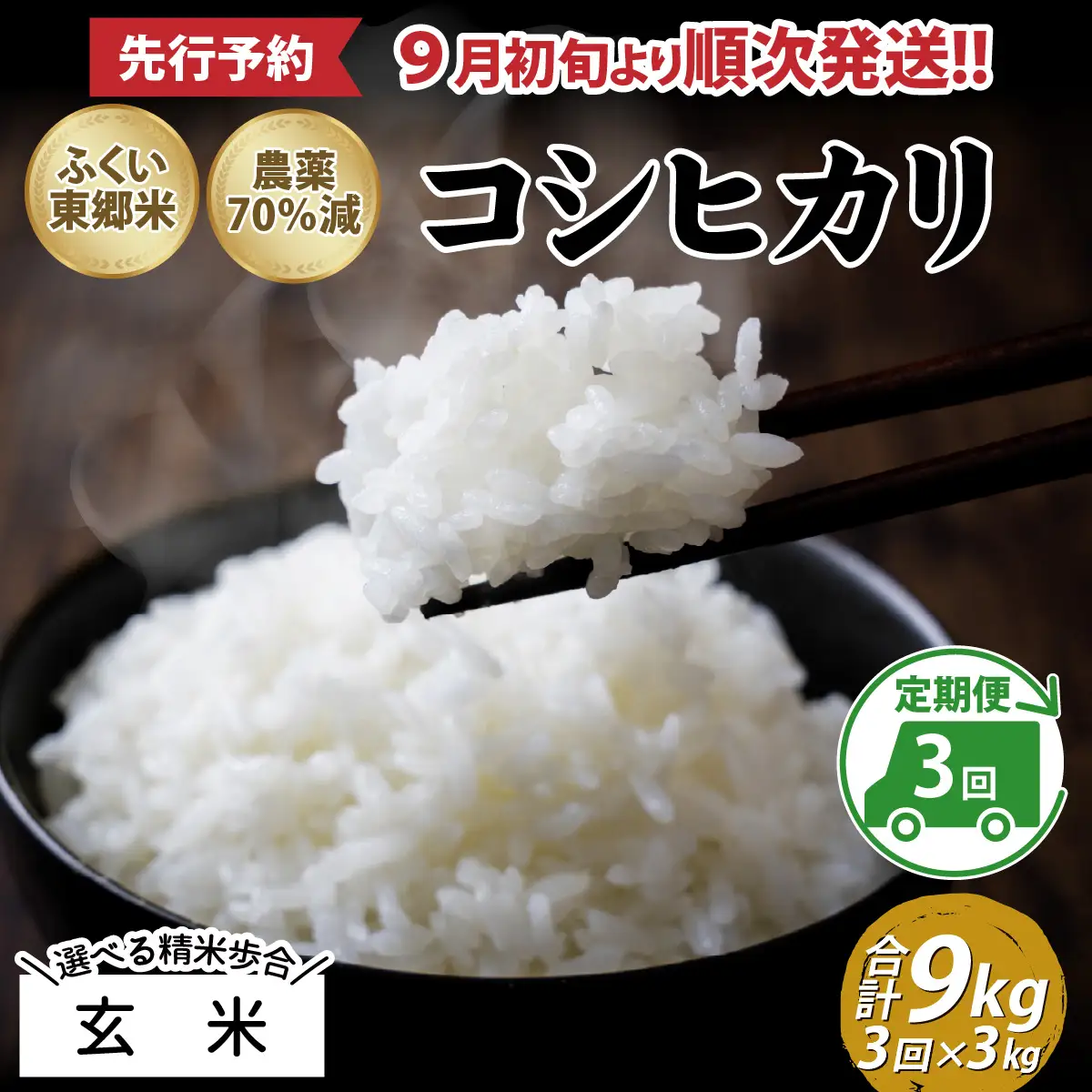 【先行予約】【玄米】【定期便3ヶ月連続】令和8年産 新米 ふくい東郷米 特別栽培米 農薬70％減 コシヒカリ 3kg×3ヶ月 合計9kg[B-020020_02]