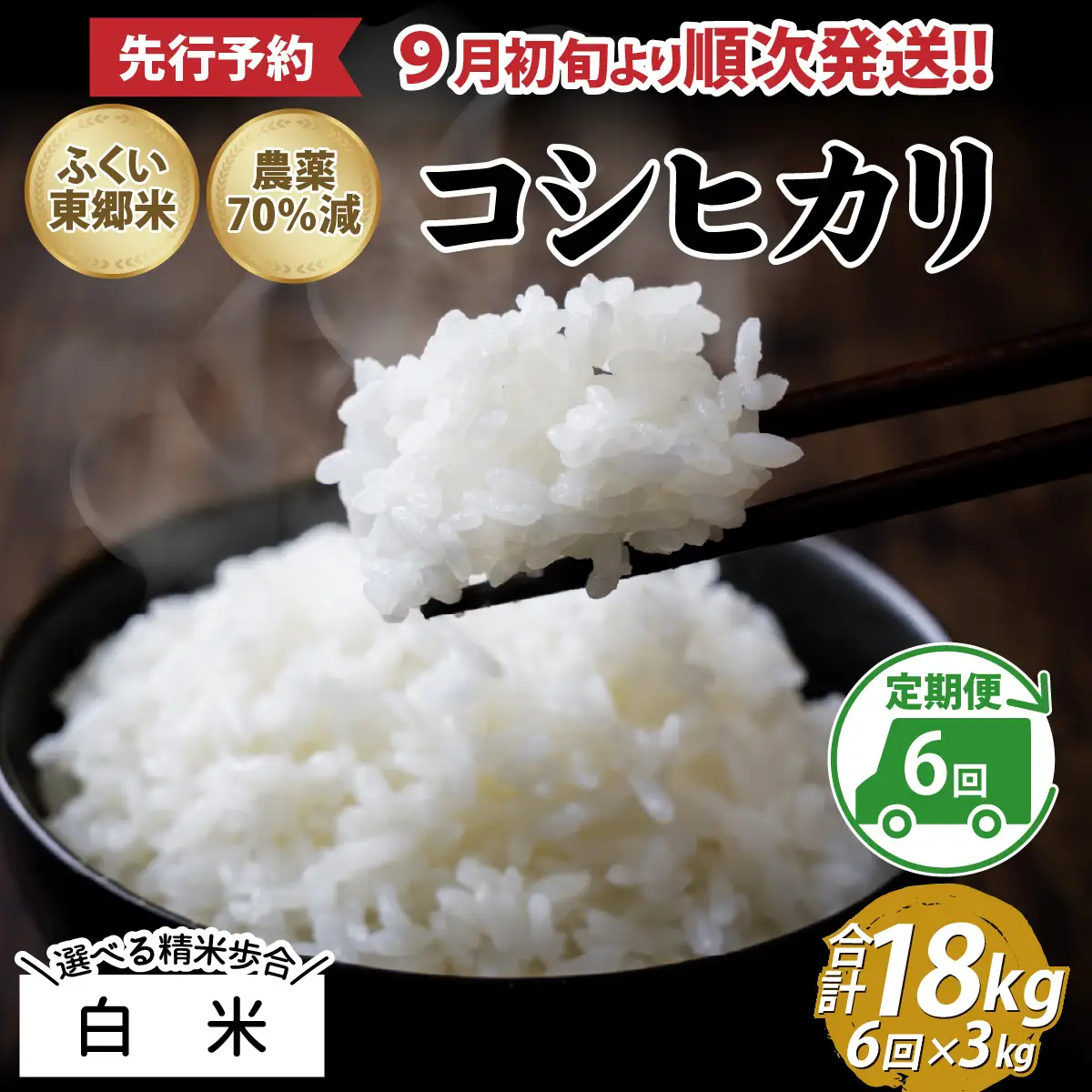 【先行予約】【白米】【定期便6ヶ月連続】令和8年産 新米 ふくい東郷米 特別栽培米 農薬70％減 コシヒカリ 3kg×6ヶ月 合計18kg[E-020022_01]