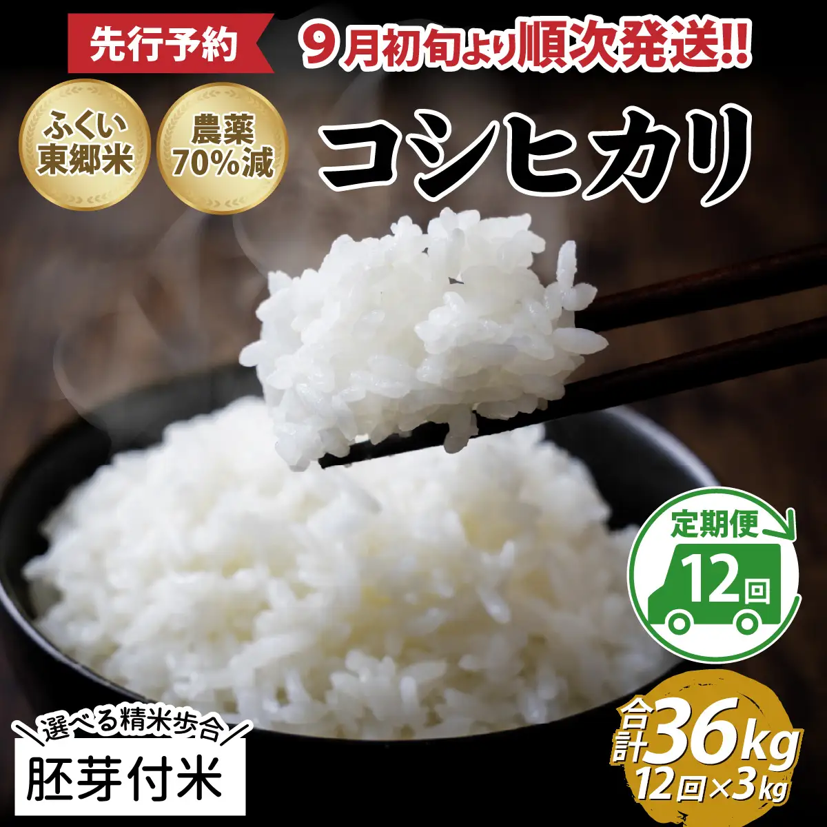 【先行予約】【胚芽付米】【定期便12ヶ月連続】令和8年産 新米 ふくい東郷米 特別栽培米 農薬70％減 コシヒカリ 3kg×12ヶ月 合計36kg[J-020024_03]