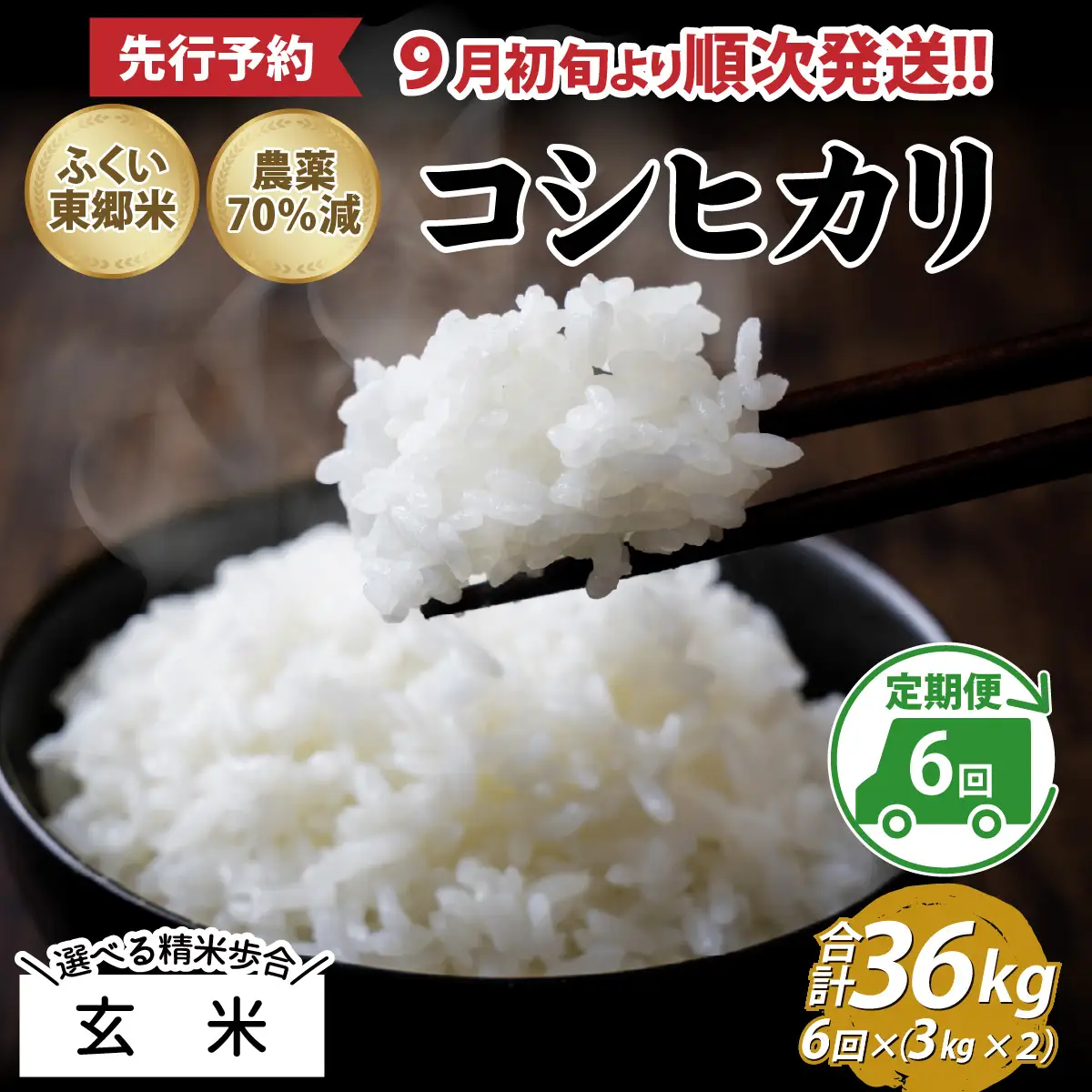 【先行予約】【玄米】【定期便6ヶ月連続】令和8年産 新米 ふくい東郷米 特別栽培米 農薬70％減 コシヒカリ 6kg(3kg×2袋)×6ヶ月 合計36kg[J-020023_02]