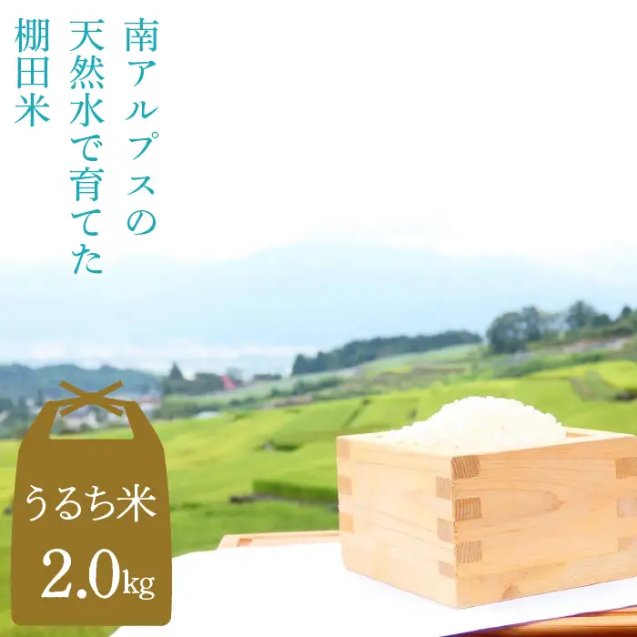 【うるち米 2kg】南アルプスの天然水で育てた棚田米 ALPCC001