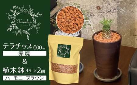 三河焼植木鉢ハーモニーブラウン【テラチップ赤焼】プランター お手軽植物栽培セット 園芸 粘土 鉢 植物 土 シルバー 赤 茶 H188-004