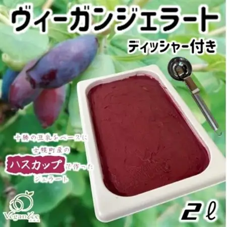 北海道産ヴィーガンジェラート　ハスカップ　2L　ディッシャー付き_菓子・スイーツ アイス・ジェラート  _【配送不可地域：離島】【1490058】