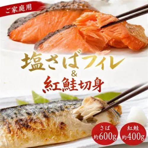 【毎月定期便】【ご家庭用訳あり】人気の塩さばフィレ＆紅鮭切身セット計1kg全3回【配送不可地域：離島】【4050163】