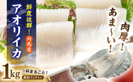 長崎県 対馬産 天然 アオリイカ 1杯 [WCN003]新鮮 冷凍 直送 イカ 水イカ 刺身 煮付け 