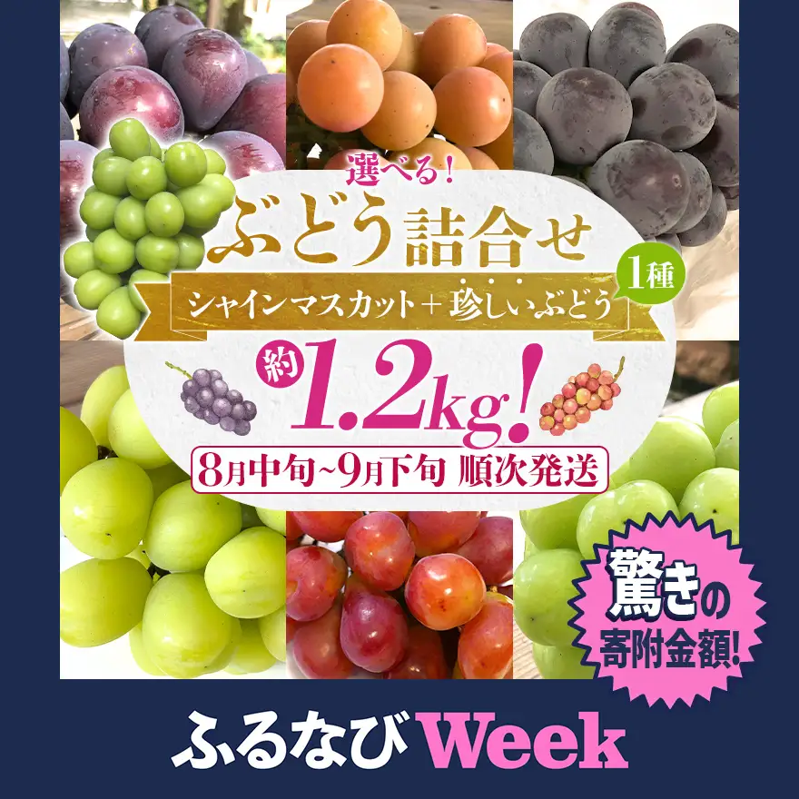 【ふるなびWEEK対象】選べる ぶどう詰合せ（シャインマスカット＋珍しいぶどう） シャインマスカット ナガノパープル クイーンニーナ グロースクローネ 瀬戸ジャイアンツ 雄宝 マイハート 福岡県 九州 お取り寄せ 8月中旬～9月下旬順次発送