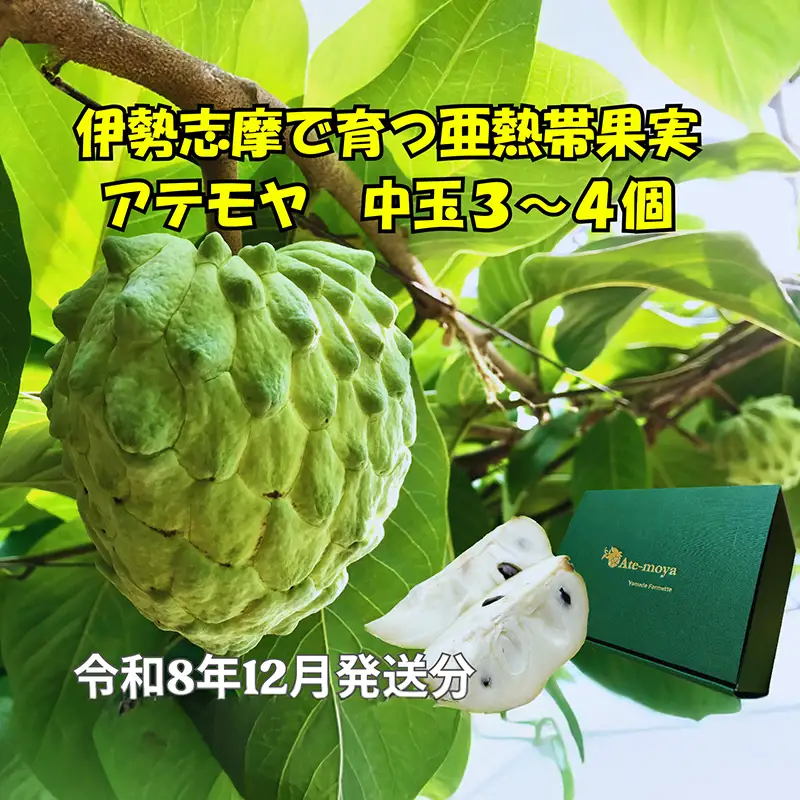伊勢志摩産 アテモヤ 中玉３～４個 約1.2kg やまで農園 令和8年12月発送 世界三大美果 果物 ふるさと 納税 くだもの フルーツ 森の アイス クリーム 送料無料 産直 事前予約 三重 南伊勢