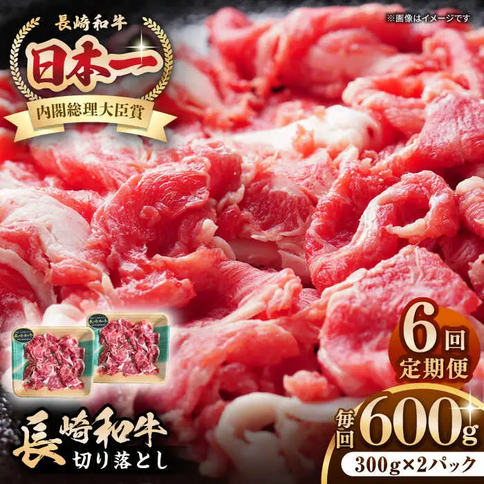 【全6回定期便】長崎和牛 切り落とし 600g（300g×2パック）《壱岐市》【長崎フードサービス】 肉 牛肉 赤身 小分け 国産 切落し 切り落し 冷凍配送 [JEP025]