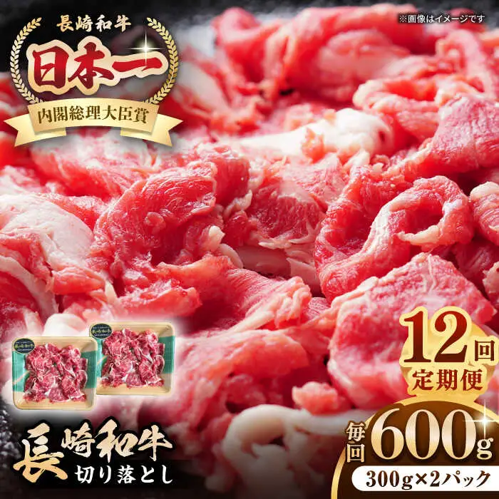【全12回定期便】長崎和牛 切り落とし 600g（300g×2パック）《壱岐市》【長崎フードサービス】 肉 牛肉 赤身 小分け 国産 切落し 切り落し 冷凍配送 [JEP026]