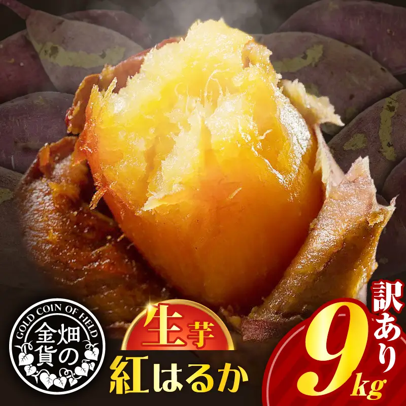 【 訳あり 】 焼き芋 さつまいも 紅はるか 生芋 9kg【畑の金貨】 K181-007