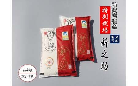 【新米受付・令和8年産米】 新潟県村上市岩船産  特別栽培米 新之助 4kg（2kg×2袋） 1039014N ｜ 白米 食味鑑定士謹製 一等米 プレミアム米 新耕農産 ツヤツヤ 農家直送 低温倉庫保管 安心 安全 小分けサイズ こだわり