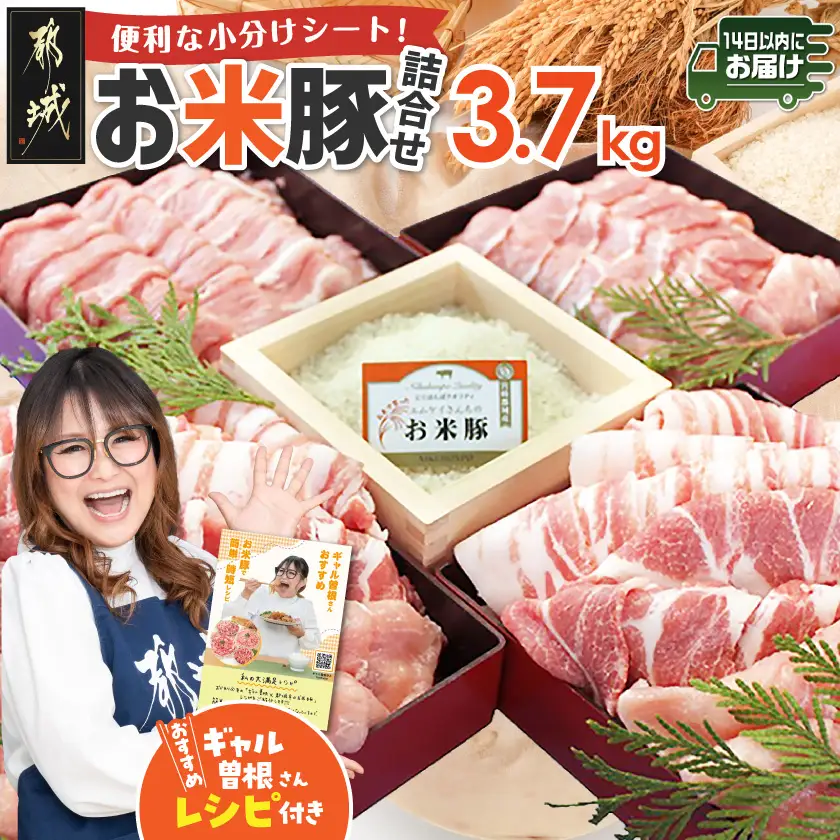豚肉 お米豚3.7kgセット 快速便〔23-3101-R〕 豚肉