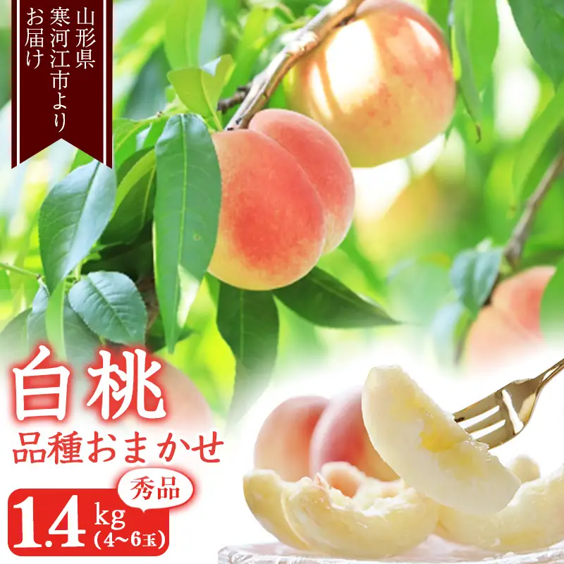 《先行予約》令和8年産 山形の白桃 秀品 1.4kg（4 - 6玉） 品種おまかせ 2026年産 山形県産【2026年8月上旬頃から9月下旬頃発送予定】※ 配送不可 沖縄・離島　011-B-MM069