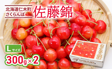 さくらんぼ 600g 佐藤錦 Lサイズ サクランボ