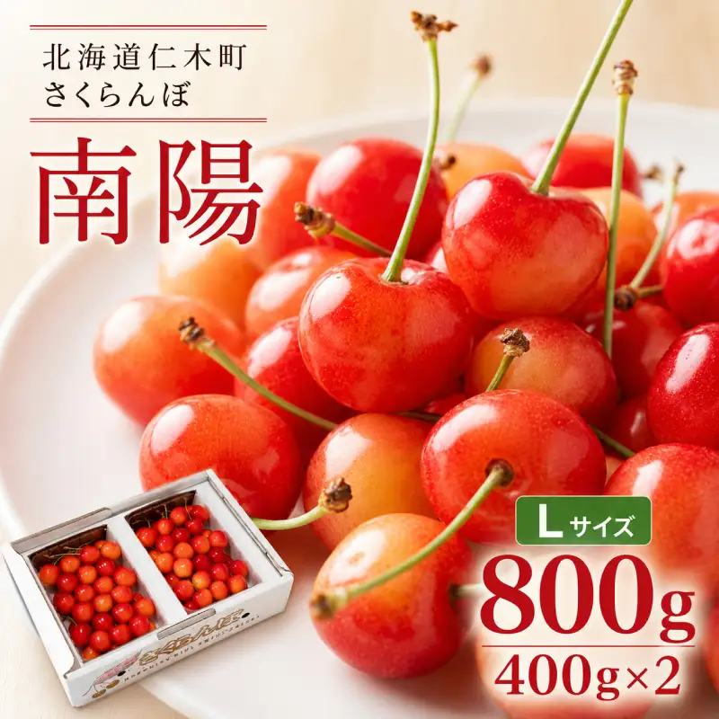 さくらんぼ 800g 南陽 Lサイズ サクランボ