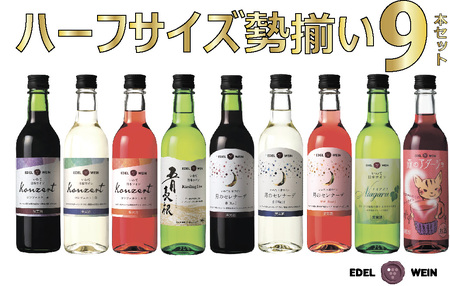 エーデルワイン ハーフサイズ勢揃い９本セット 【1900】