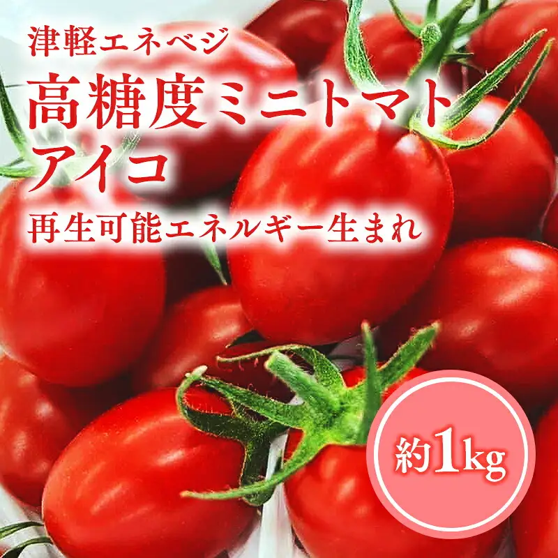  高糖度 ミニトマト [アイコ] 約1kg 【hi-0016-003】